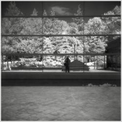 dailyPhoto15